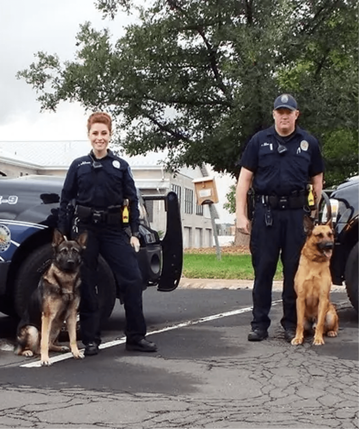 Two police officers with their K9 dogs standing outside near patrol cars.