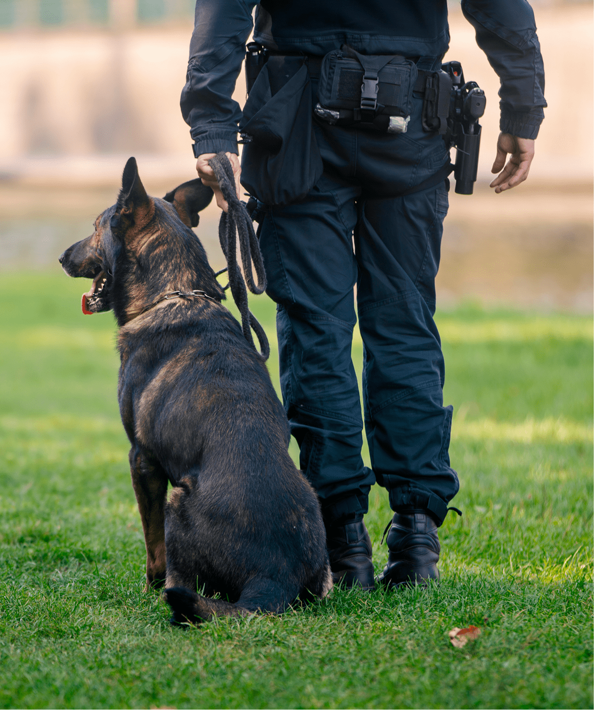 Police officer standing with a black German Shepherd dog on leash.