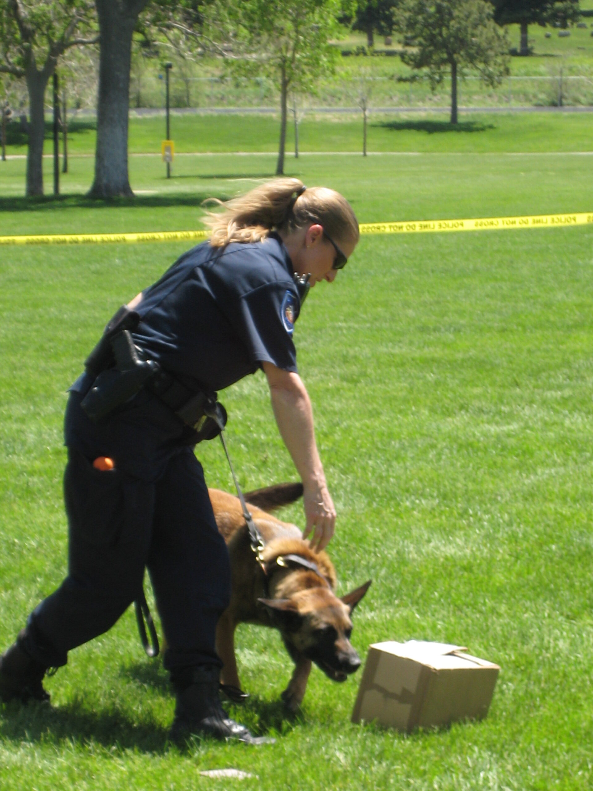 A police officer training a dog in a grassy field.