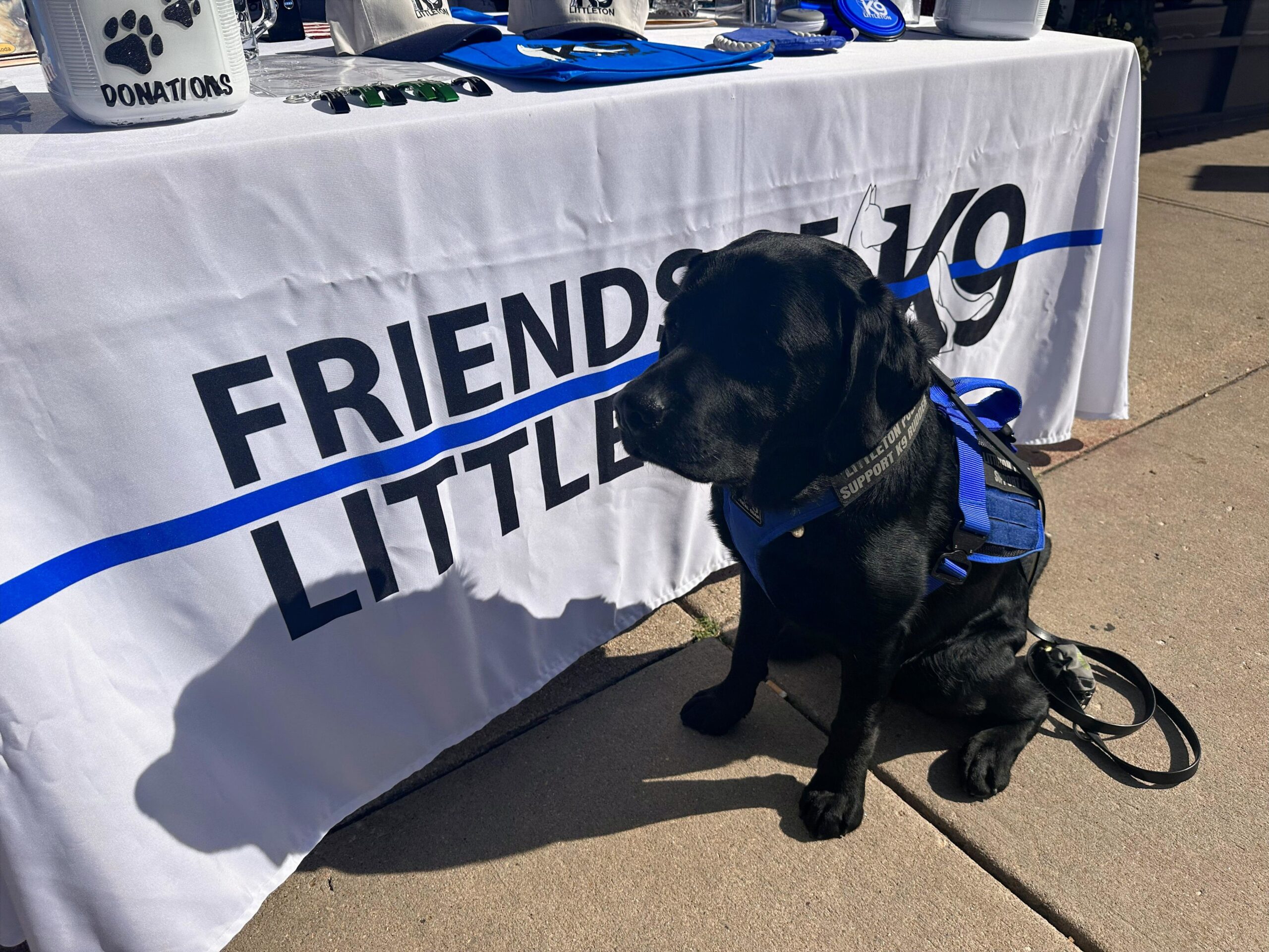 Black dog wearing a blue bandana sitting by a Friends of Little Rock table.