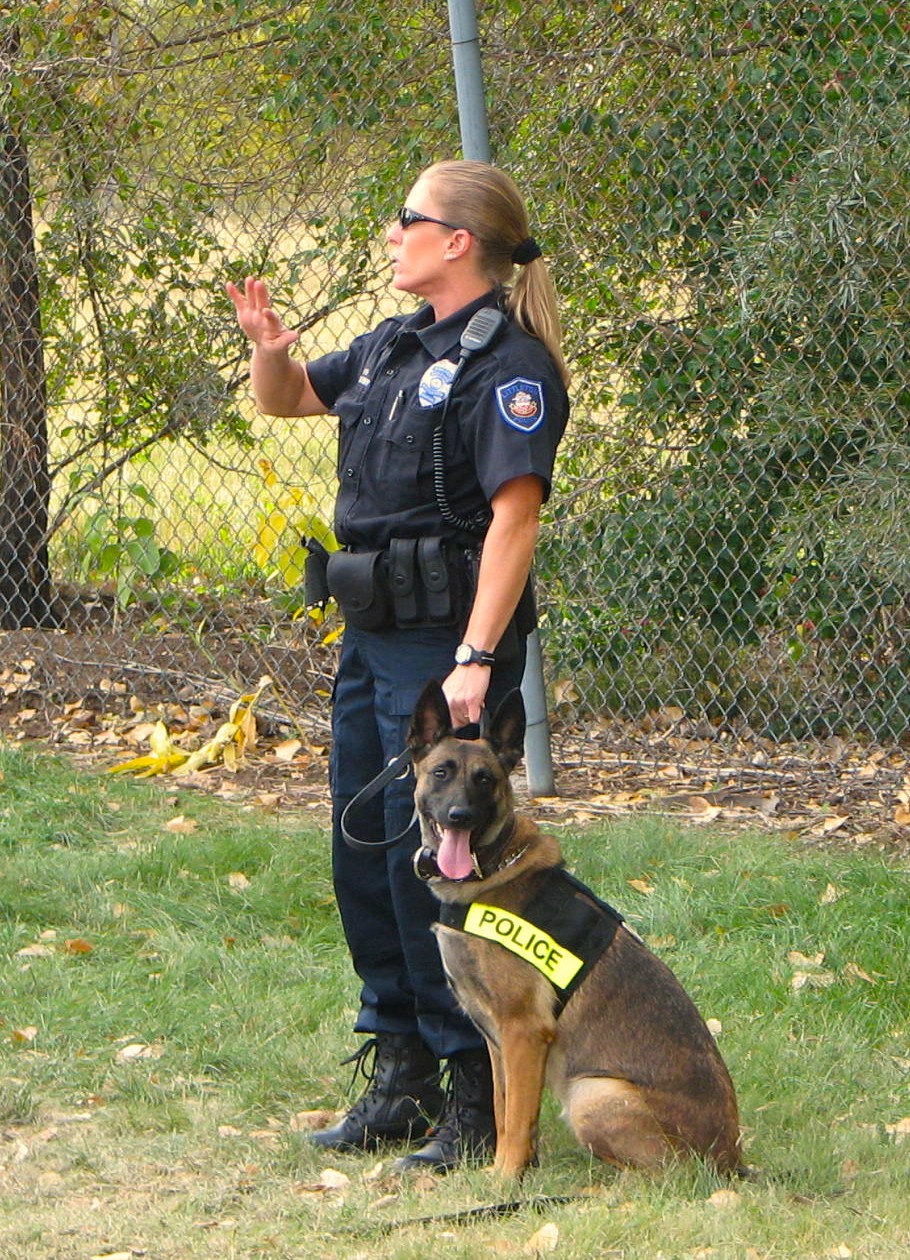 Police officer with a trained service dog outdoors.