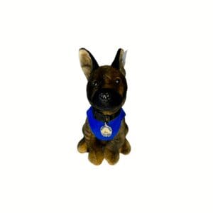 A small dog wearing a blue bandana and a tag.