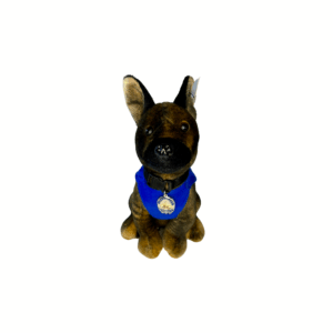 A small dog wearing a blue bandana and a tag.