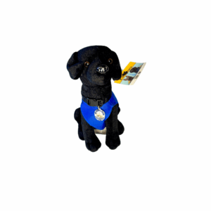 A black stuffed dog wearing a blue vest and a yellow tag.