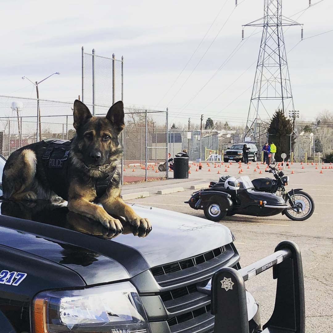 Friends of Littleton K-9
