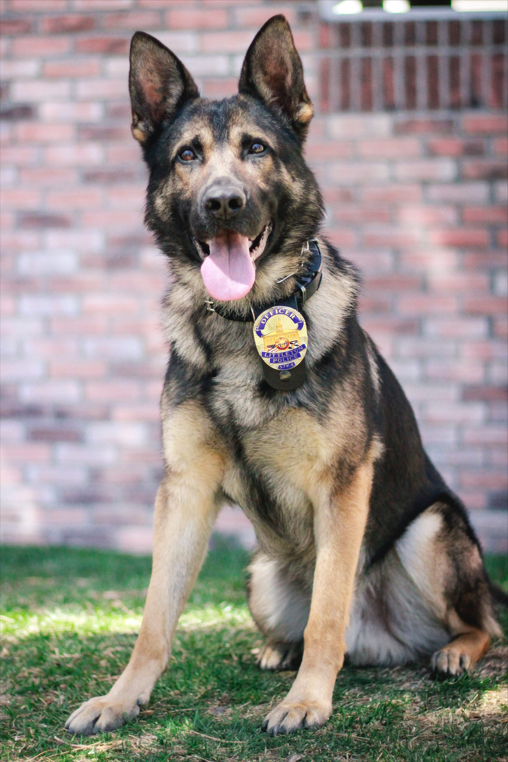 Friends of Littleton K-9