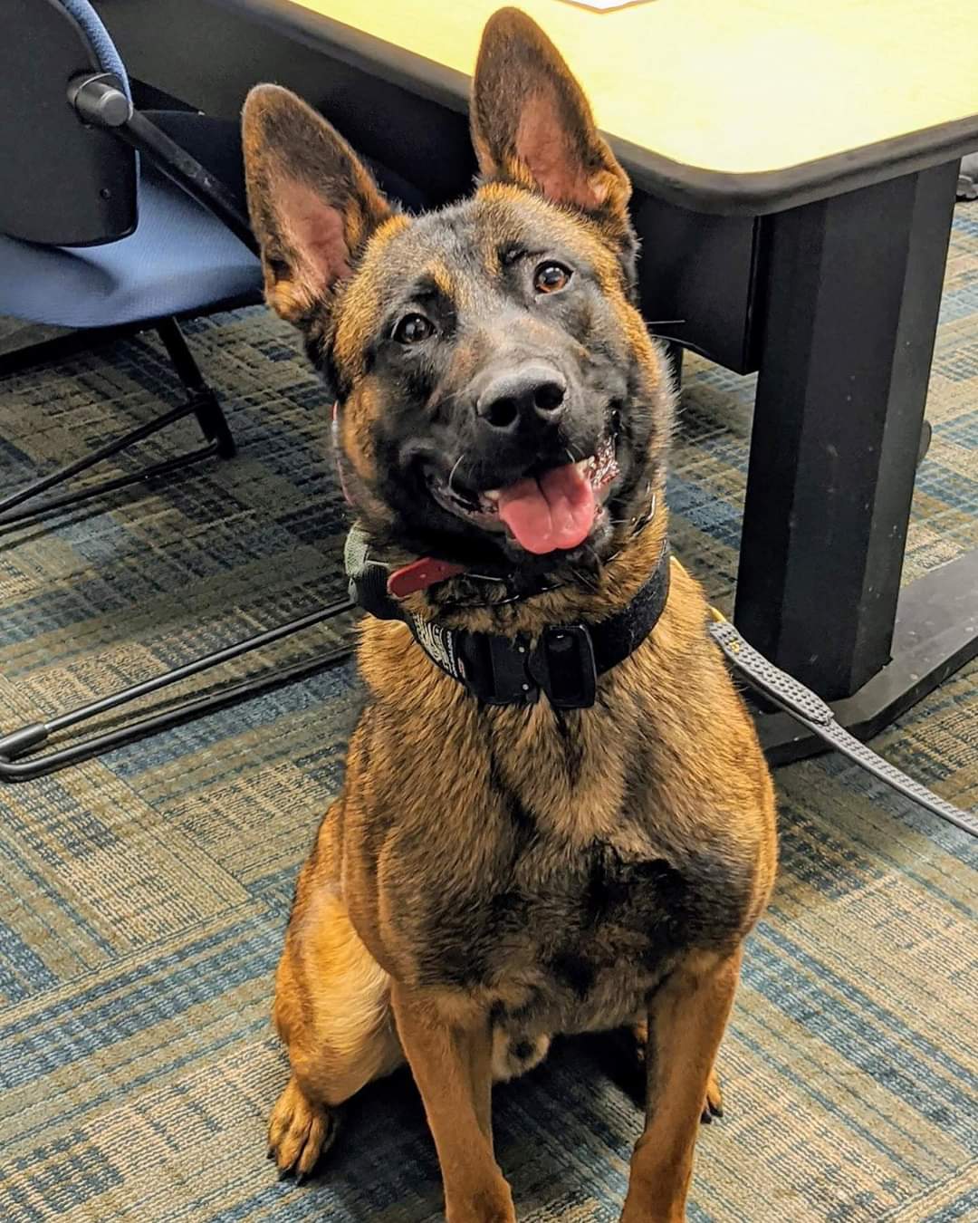 Friends of Littleton K-9