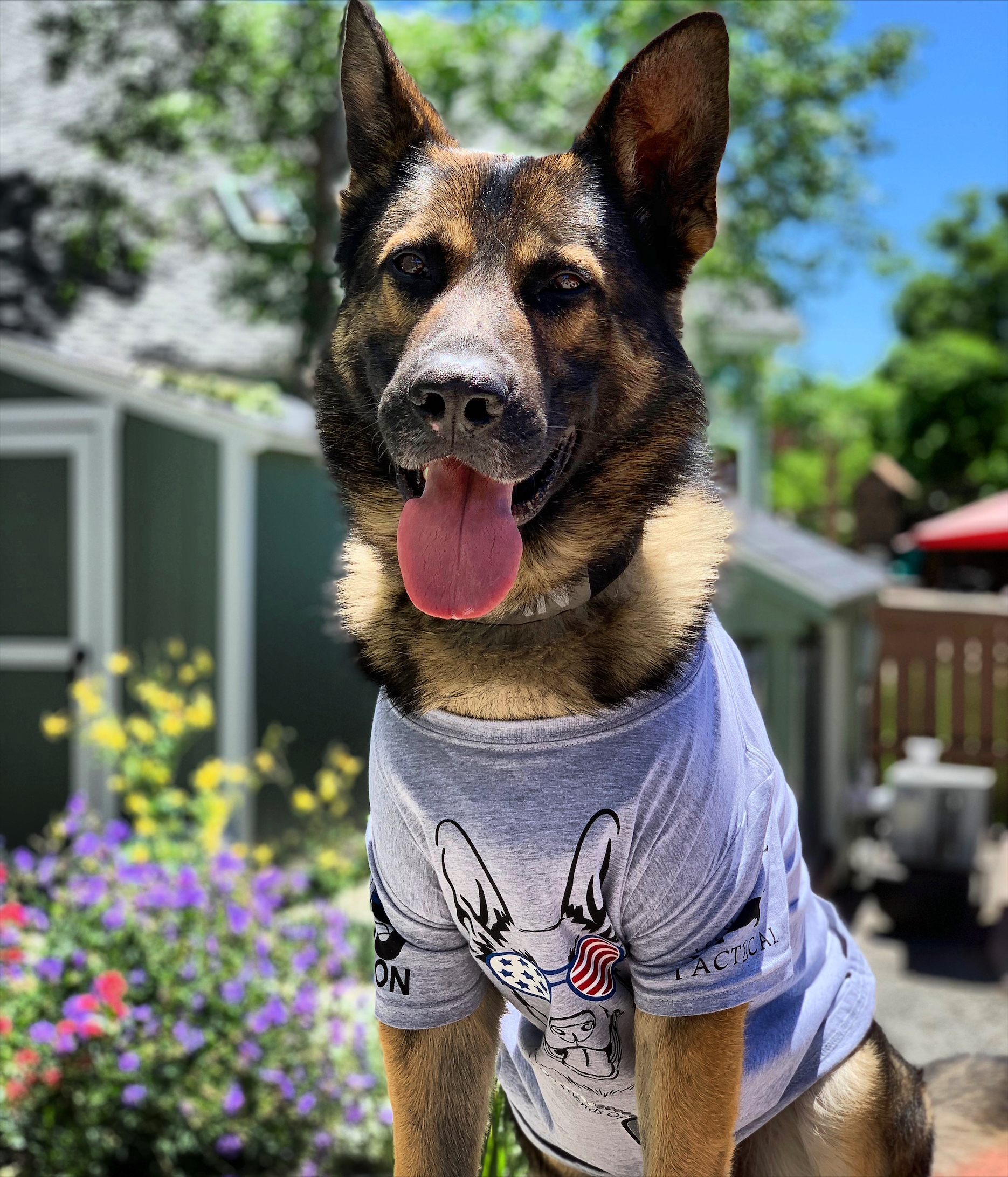Friends of Littleton K-9