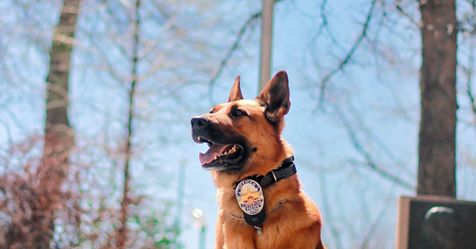 Friends of Littleton K-9
