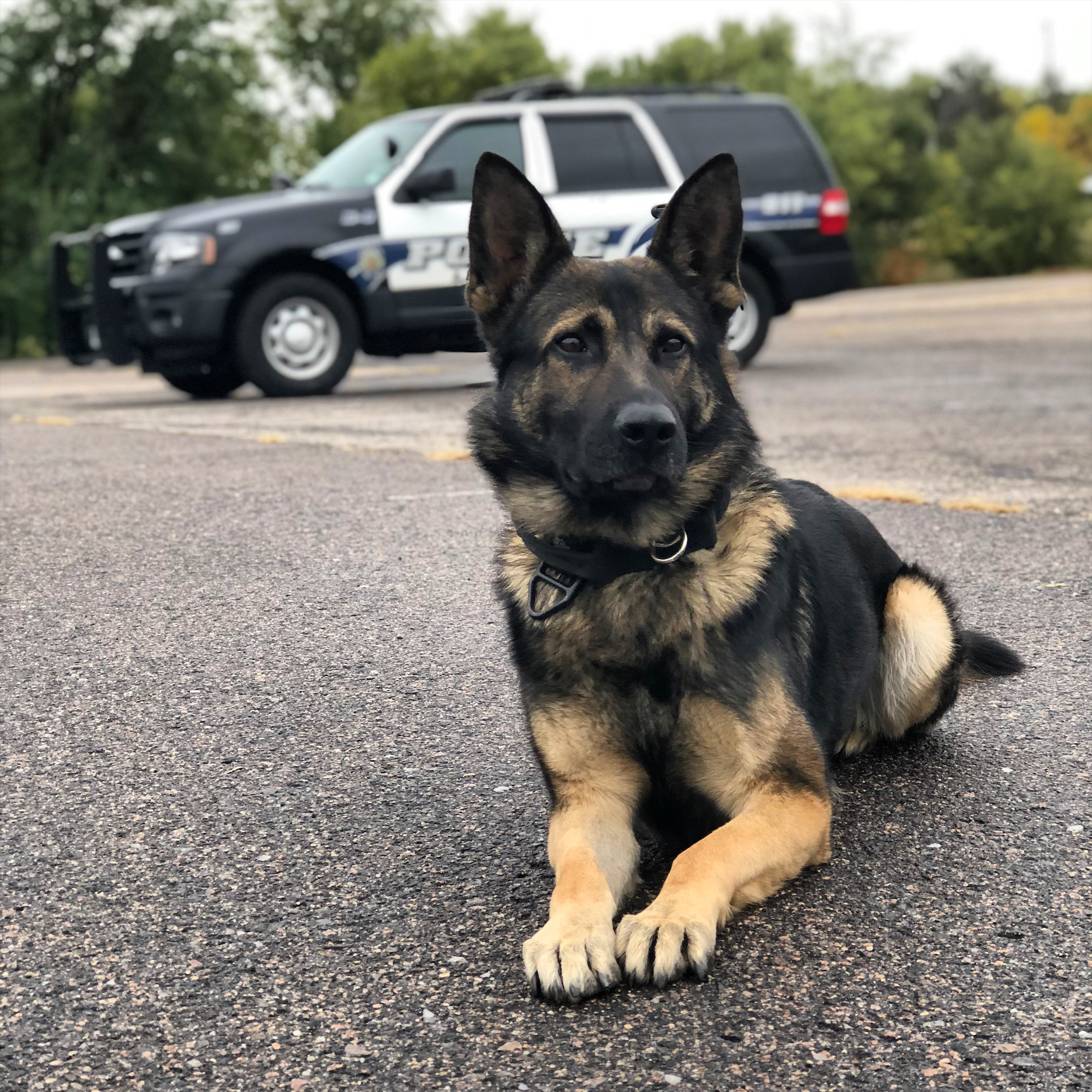 Friends of Littleton K-9