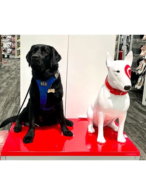Two dog statues, one black and one white, on a red platform.